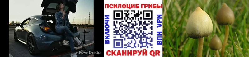 Галлюциногенные грибы ЛСД Корсаков